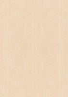 /album/dtd-materialy-vstavane-skrine/a58-breza-mainau-h1733-jpg/